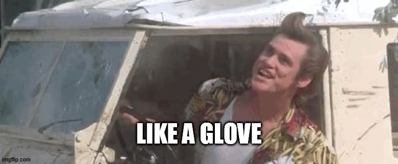 Like a glove | LIKE A GLOVE | image tagged in like a glove | made w/ Imgflip meme maker