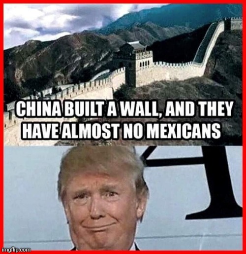 Dumb ass | image tagged in trump wall | made w/ Imgflip meme maker