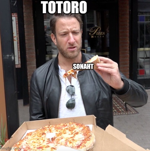 Pizza | TOTORO; SONAHT | image tagged in pizza | made w/ Imgflip meme maker