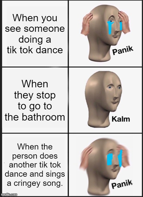 Tik tok ruined my life | When you see someone doing a tik tok dance; When they stop to go to the bathroom; When the person does another tik tok dance and sings a cringey song. | image tagged in memes,panik kalm panik | made w/ Imgflip meme maker