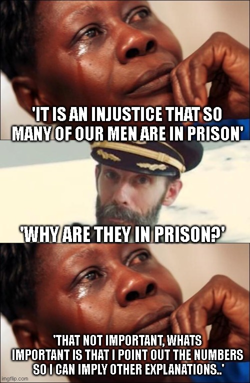 'IT IS AN INJUSTICE THAT SO MANY OF OUR MEN ARE IN PRISON' 'WHY ARE THEY IN PRISON?' 'THAT NOT IMPORTANT, WHATS IMPORTANT IS THAT I POINT OU | image tagged in captain obvious,black woman crying | made w/ Imgflip meme maker