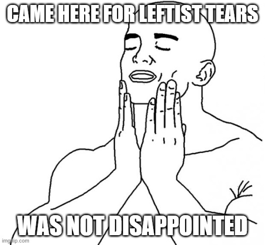 Feels Good Man | CAME HERE FOR LEFTIST TEARS WAS NOT DISAPPOINTED | image tagged in feels good man | made w/ Imgflip meme maker