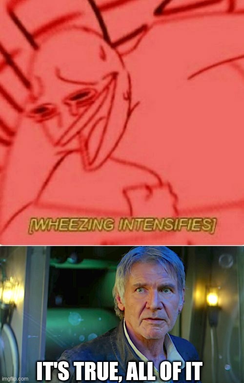IT'S TRUE, ALL OF IT | image tagged in han solo - its true all of it,wheeze | made w/ Imgflip meme maker