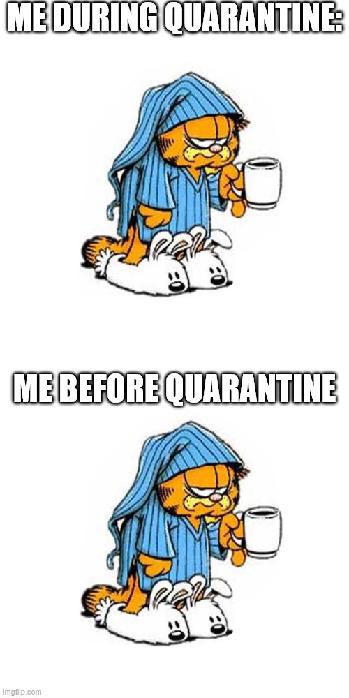  ME DURING QUARANTINE:; ME BEFORE QUARANTINE | image tagged in garfield-coffee | made w/ Imgflip meme maker