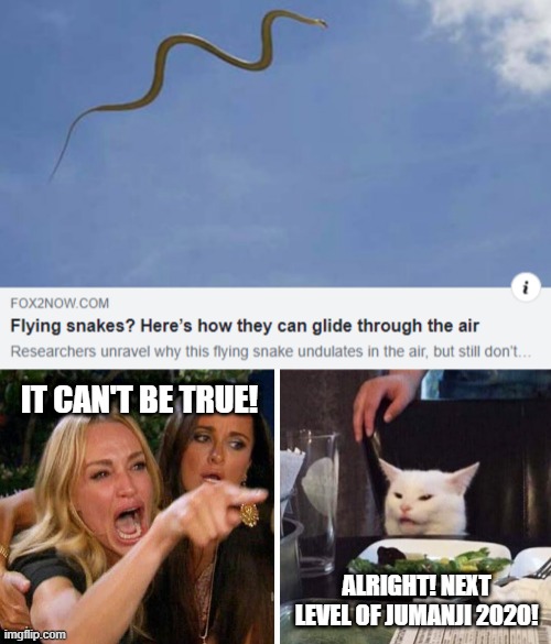 Next Jumanji 2020 level - Flying Snakes | IT CAN'T BE TRUE! ALRIGHT! NEXT LEVEL OF JUMANJI 2020! | image tagged in smudge the cat,memes,2020,jumanji | made w/ Imgflip meme maker