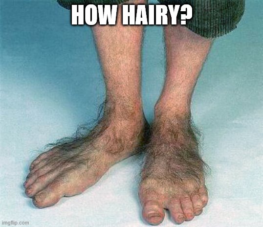 Hairy feet  | HOW HAIRY? | image tagged in hairy feet | made w/ Imgflip meme maker