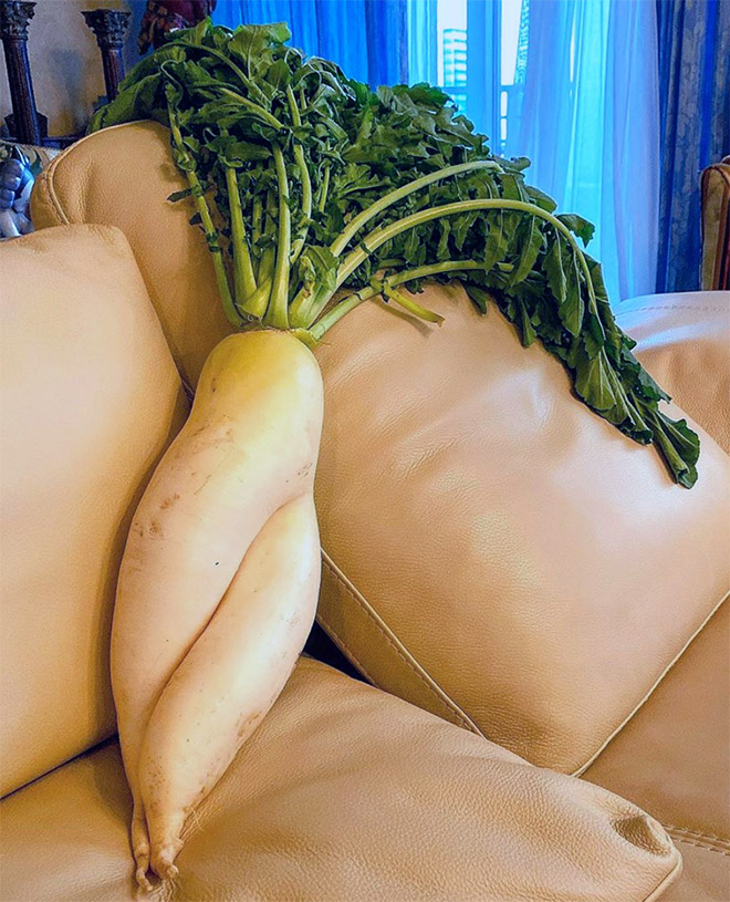 Seductive radish 11 Blank Meme Template