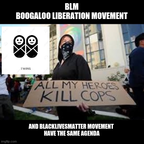 My Heroes Help Police When Needed | BLM
BOOGALOO LIBERATION MOVEMENT; AND BLACKLIVESMATTER MOVEMENT 
HAVE THE SAME AGENDA | image tagged in memes | made w/ Imgflip meme maker