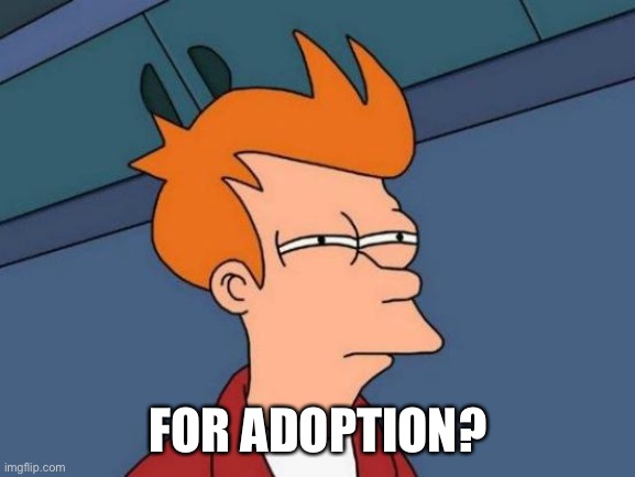 Futurama Fry Meme | FOR ADOPTION? | image tagged in memes,futurama fry | made w/ Imgflip meme maker