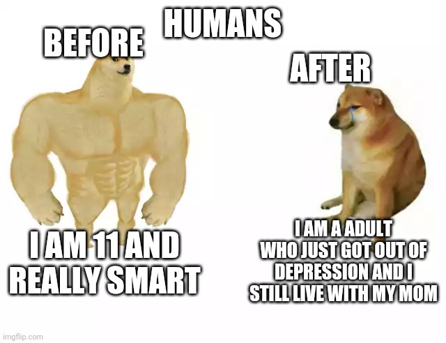 Buff Doge vs. Cheems Meme | BEFORE; HUMANS; AFTER; I AM A ADULT WHO JUST GOT OUT OF DEPRESSION AND I STILL LIVE WITH MY MOM; I AM 11 AND REALLY SMART | image tagged in buff doge vs cheems | made w/ Imgflip meme maker