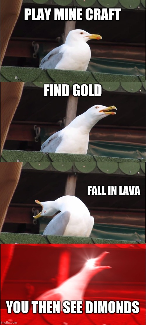 Inhaling Seagull | PLAY MINE CRAFT; FIND GOLD; FALL IN LAVA; YOU THEN SEE DIMONDS | image tagged in memes,inhaling seagull | made w/ Imgflip meme maker