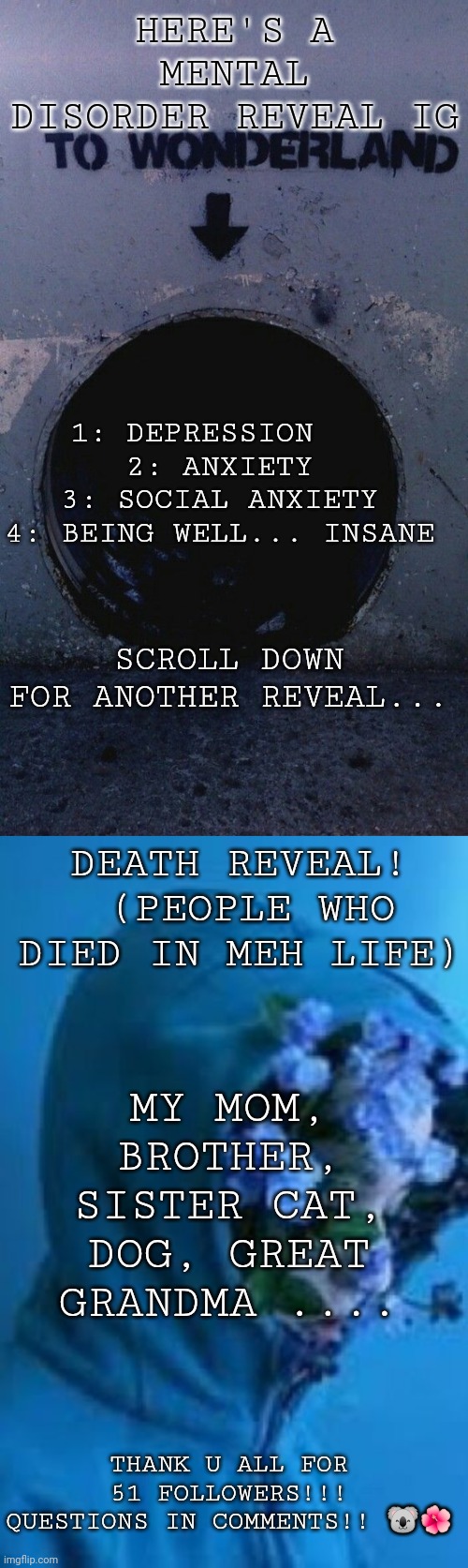 REVEAL TIME!! THANK U ALL!!!! | HERE'S A MENTAL DISORDER REVEAL IG; 1: DEPRESSION    
2: ANXIETY 
3: SOCIAL ANXIETY 
4: BEING WELL... INSANE; SCROLL DOWN FOR ANOTHER REVEAL... DEATH REVEAL!
 (PEOPLE WHO DIED IN MEH LIFE); MY MOM, BROTHER, SISTER CAT, DOG, GREAT GRANDMA .... THANK U ALL FOR 51 FOLLOWERS!!! QUESTIONS IN COMMENTS!! 🐨🌺 | made w/ Imgflip meme maker