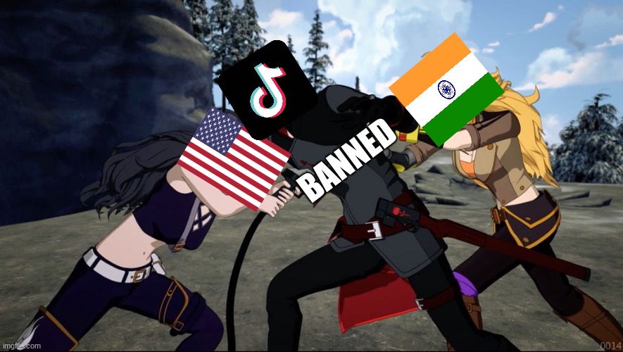 accurate stuff here | BANNED | image tagged in india,usa,tiktok,banned,in a nutshell | made w/ Imgflip meme maker