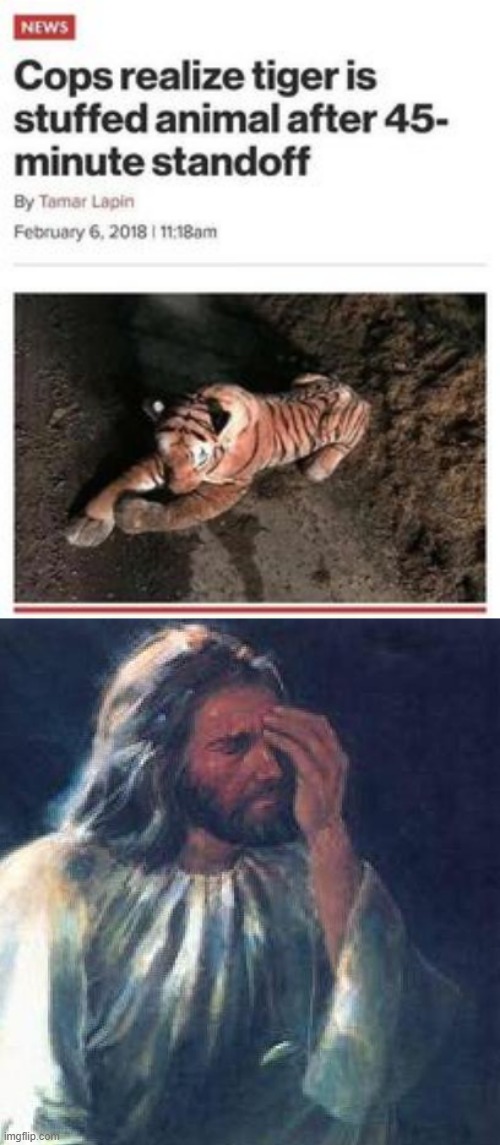 Seriously? | image tagged in jesus facepalm | made w/ Imgflip meme maker