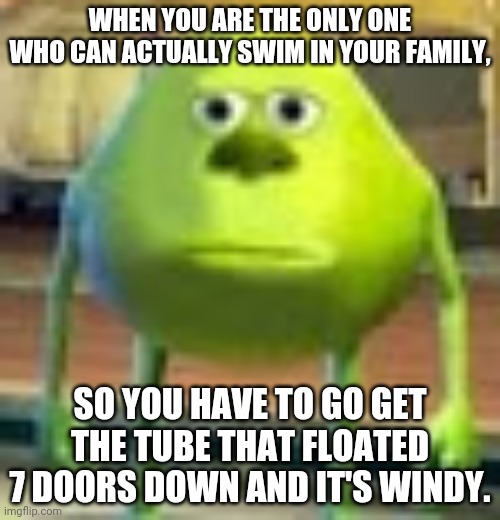 Sully Wazowski | WHEN YOU ARE THE ONLY ONE WHO CAN ACTUALLY SWIM IN YOUR FAMILY, SO YOU HAVE TO GO GET THE TUBE THAT FLOATED 7 DOORS DOWN AND IT'S WINDY. | image tagged in sully wazowski | made w/ Imgflip meme maker