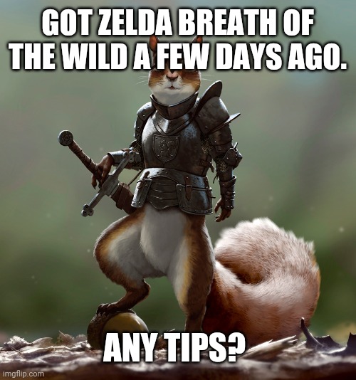 Ready Squirrel | GOT ZELDA BREATH OF THE WILD A FEW DAYS AGO. ANY TIPS? | image tagged in ready squirrel | made w/ Imgflip meme maker