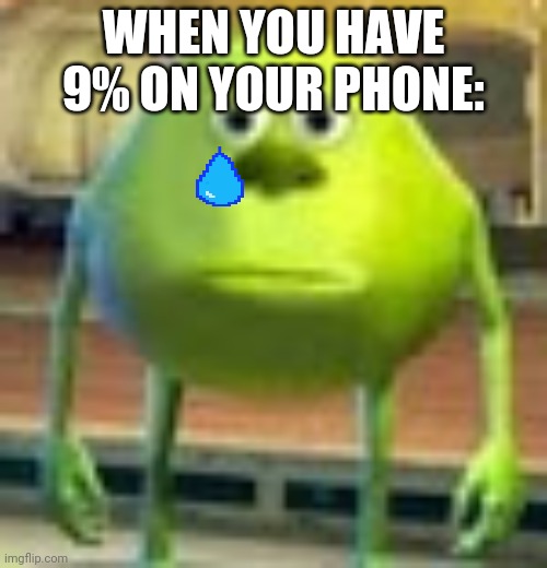 Sully Wazowski | WHEN YOU HAVE 9% ON YOUR PHONE: | image tagged in sully wazowski | made w/ Imgflip meme maker