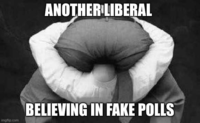 Head up ass  | ANOTHER LIBERAL BELIEVING IN FAKE POLLS | image tagged in head up ass | made w/ Imgflip meme maker