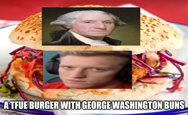 A TFUE BURGER WITH GEORGE WASHINGTON BUNS | image tagged in fortnite meme,bread | made w/ Imgflip meme maker