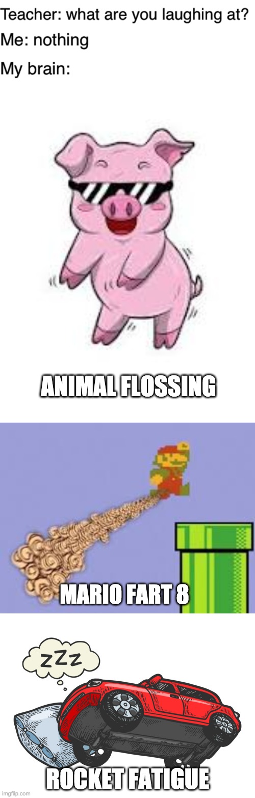 ANIMAL FLOSSING; MARIO FART 8; ROCKET FATIGUE | image tagged in teacher what are you laughing at | made w/ Imgflip meme maker