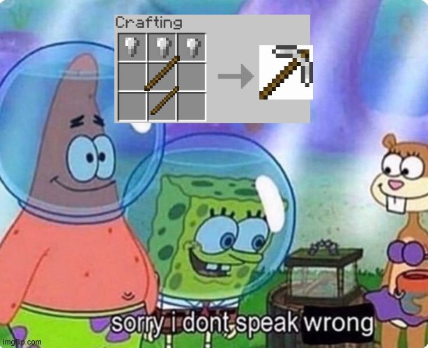 SORRY I DONT SPEAK WRONG | image tagged in sorry i don't speak wrong | made w/ Imgflip meme maker