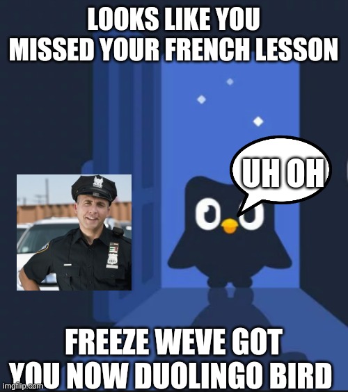 Duolingo bird | LOOKS LIKE YOU MISSED YOUR FRENCH LESSON; UH OH; FREEZE WEVE GOT YOU NOW DUOLINGO BIRD | image tagged in duolingo bird,popo,police,ladys and gentlemen we got him | made w/ Imgflip meme maker