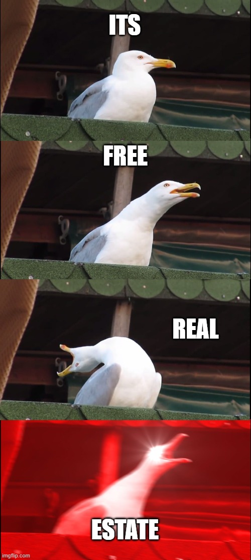 Inhaling Seagull Meme | ITS; FREE; REAL; ESTATE | image tagged in memes,inhaling seagull | made w/ Imgflip meme maker