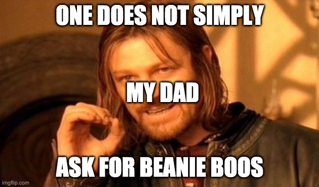 when i ask for money for beanie boos :p | ONE DOES NOT SIMPLY; MY DAD; ASK FOR BEANIE BOOS | image tagged in memes,one does not simply | made w/ Imgflip meme maker
