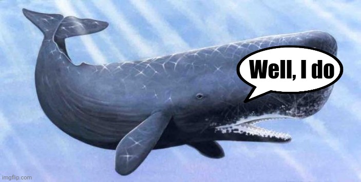 sperm whale | Well, I do | image tagged in sperm whale | made w/ Imgflip meme maker