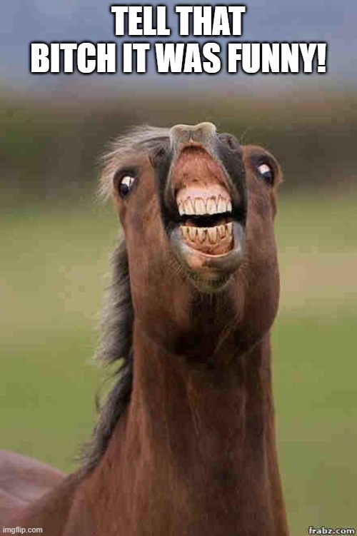 horse face | TELL THAT BITCH IT WAS FUNNY! | image tagged in horse face | made w/ Imgflip meme maker