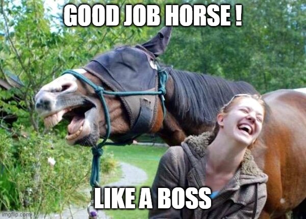 Laughing Horse | GOOD JOB HORSE ! LIKE A BOSS | image tagged in laughing horse | made w/ Imgflip meme maker