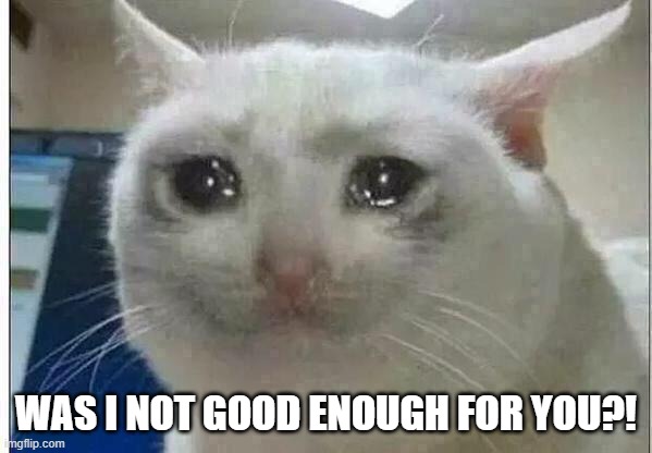 crying cat | WAS I NOT GOOD ENOUGH FOR YOU?! | image tagged in crying cat | made w/ Imgflip meme maker