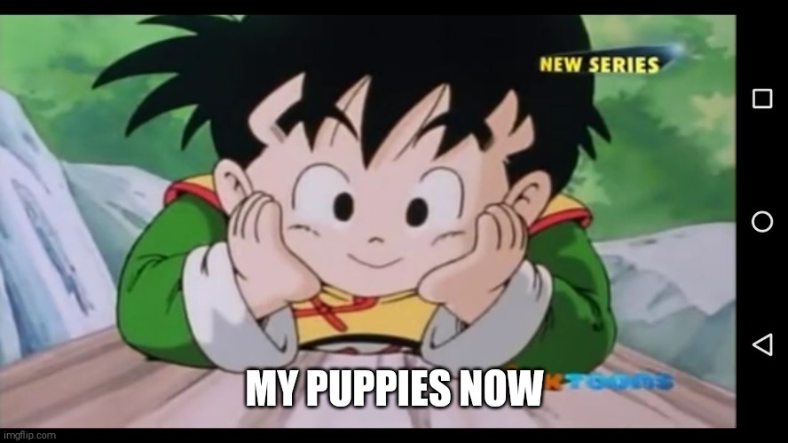 Gohan Smartass | MY PUPPIES NOW | image tagged in gohan smartass | made w/ Imgflip meme maker