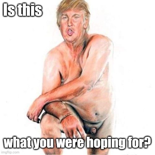 nude trump | Is this what you were hoping for? | image tagged in nude trump | made w/ Imgflip meme maker