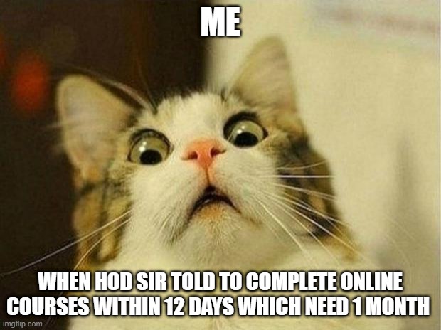 Scared Cat | ME; WHEN HOD SIR TOLD TO COMPLETE ONLINE COURSES WITHIN 12 DAYS WHICH NEED 1 MONTH | image tagged in memes,scared cat | made w/ Imgflip meme maker