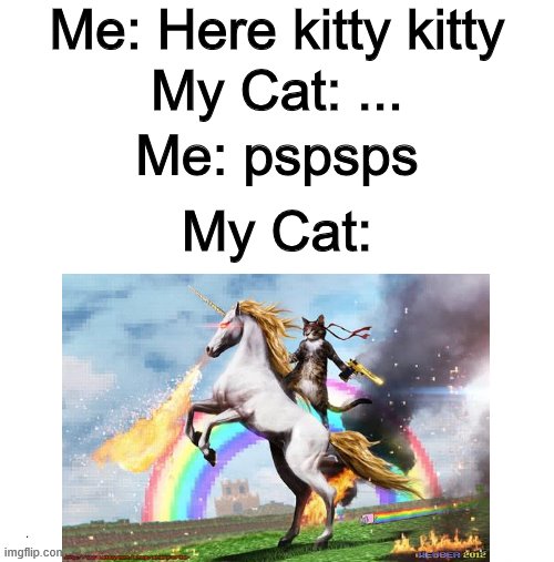 Me: Here kitty kitty; My Cat: ... Me: pspsps; My Cat: | image tagged in blank white template,housewives cat | made w/ Imgflip meme maker