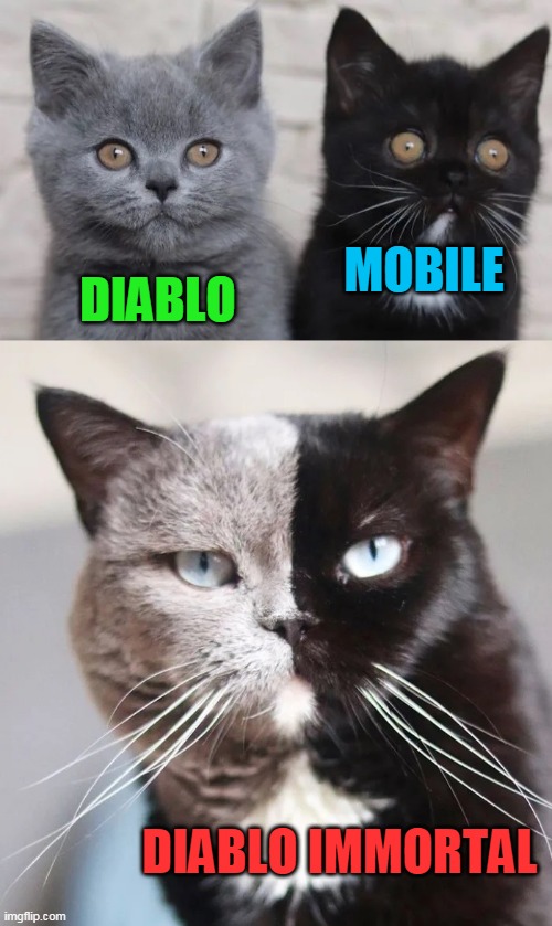 1 + 1 is 2 | MOBILE; DIABLO; DIABLO IMMORTAL | image tagged in cats,cat,diablo immortal,gaming | made w/ Imgflip meme maker