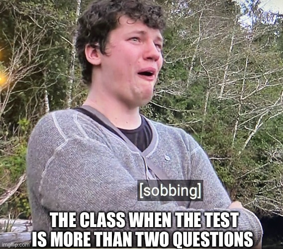 Sobbing | THE CLASS WHEN THE TEST IS MORE THAN TWO QUESTIONS | image tagged in sobbing | made w/ Imgflip meme maker