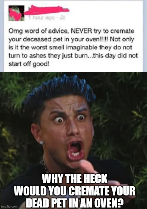 Who else does this to their dead pets? | WHY THE HECK WOULD YOU CREMATE YOUR DEAD PET IN AN OVEN? | image tagged in memes,dj pauly d,wth | made w/ Imgflip meme maker