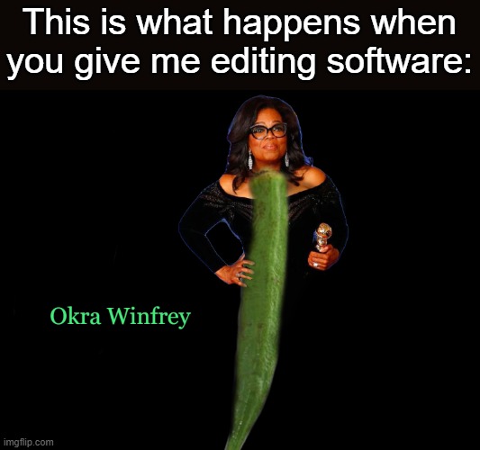 Lol, I'm sorry, I had to. It didn't turn out too well since I kind of gave up halfway through. | This is what happens when you give me editing software: | image tagged in oprah winfrey,sorry not sorry,what is this | made w/ Imgflip meme maker