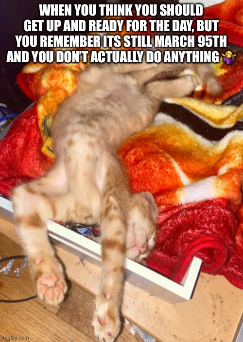 Cat Nap | WHEN YOU THINK YOU SHOULD GET UP AND READY FOR THE DAY, BUT YOU REMEMBER ITS STILL MARCH 95TH AND YOU DON’T ACTUALLY DO ANYTHING 🤷‍♀️ | image tagged in sleep deprivation creations | made w/ Imgflip meme maker