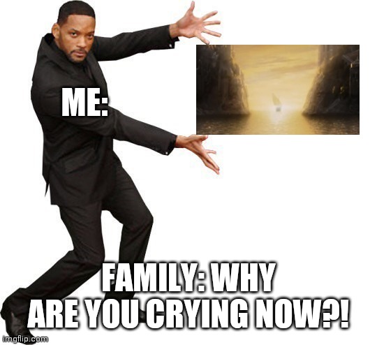 Undying lands | ME:; FAMILY: WHY ARE YOU CRYING NOW?! | image tagged in tada will smith | made w/ Imgflip meme maker