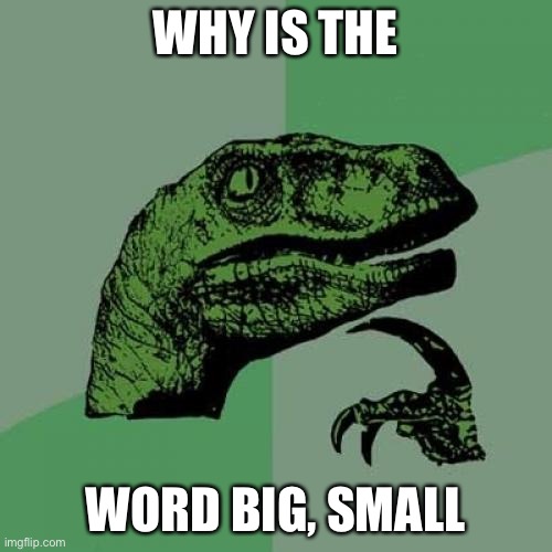 Philosoraptor | WHY IS THE; WORD BIG, SMALL | image tagged in memes,philosoraptor | made w/ Imgflip meme maker