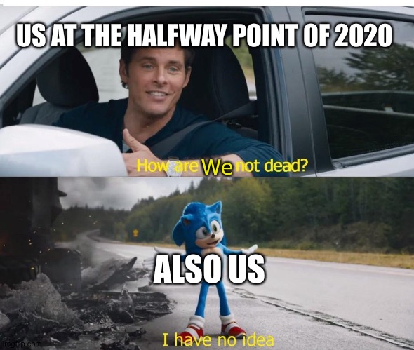 Us at the halfway point of 2020 | US AT THE HALFWAY POINT OF 2020; We; ALSO US | image tagged in sonic how are you not dead,2020,sonic movie,sonic the hedgehog | made w/ Imgflip meme maker