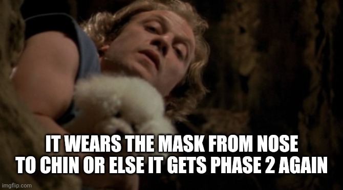 Phase 2 | IT WEARS THE MASK FROM NOSE TO CHIN OR ELSE IT GETS PHASE 2 AGAIN | image tagged in silence of the lambs lotion | made w/ Imgflip meme maker