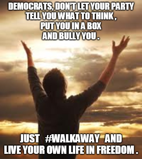 Live Your Life | DEMOCRATS, DON'T LET YOUR PARTY
TELL YOU WHAT TO THINK ,
PUT YOU IN A BOX
AND BULLY YOU . JUST   #WALKAWAY   AND
LIVE YOUR OWN LIFE IN FREEDOM . | image tagged in worship,democrats,liberals,bully,walkaway,freedom | made w/ Imgflip meme maker