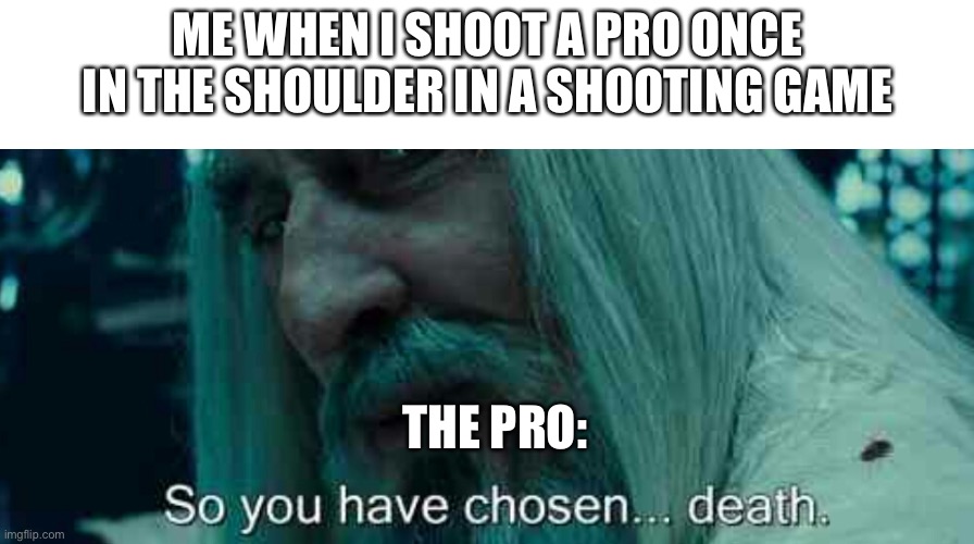 So you have chosen death | ME WHEN I SHOOT A PRO ONCE IN THE SHOULDER IN A SHOOTING GAME; THE PRO: | image tagged in so you have chosen death | made w/ Imgflip meme maker