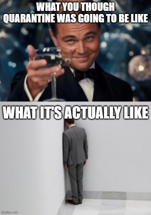 bored. | WHAT YOU THOUGH QUARANTINE WAS GOING TO BE LIKE; WHAT IT'S ACTUALLY LIKE | image tagged in leonardo dicaprio cheers,quarantine,bored,boredom | made w/ Imgflip meme maker