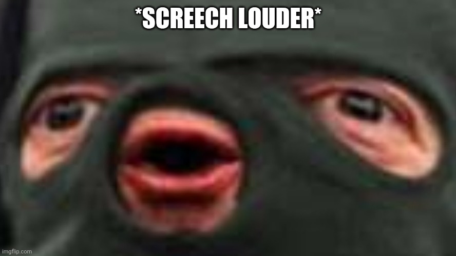 oof | *SCREECH LOUDER* | image tagged in oof | made w/ Imgflip meme maker