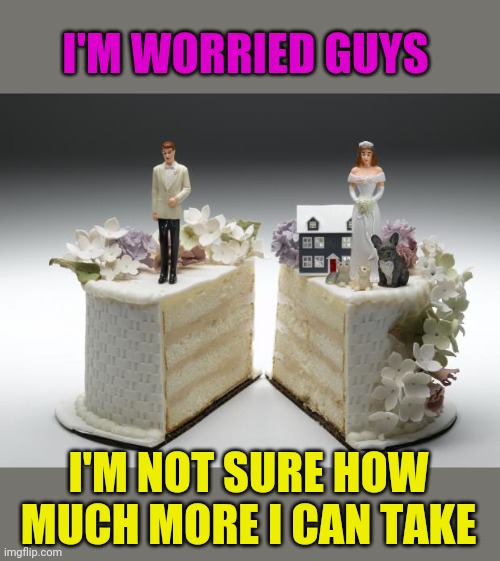 divorce | I'M WORRIED GUYS I'M NOT SURE HOW MUCH MORE I CAN TAKE | image tagged in divorce | made w/ Imgflip meme maker